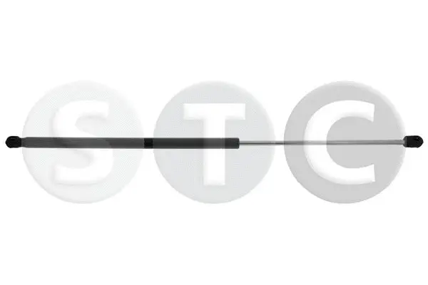 Gas Spring, boot/cargo area (T446447)