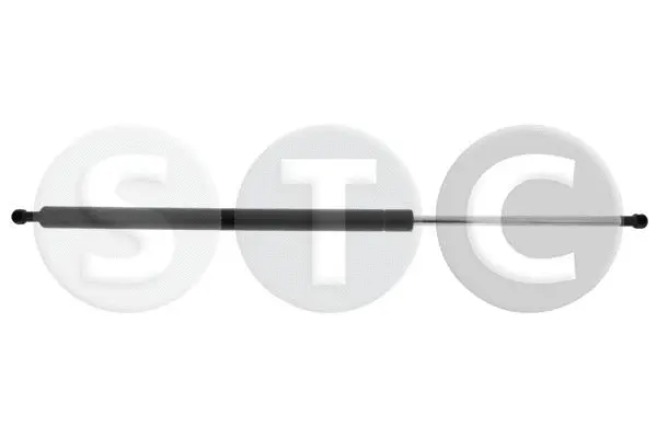 Gas Spring, boot/cargo area (T446702)