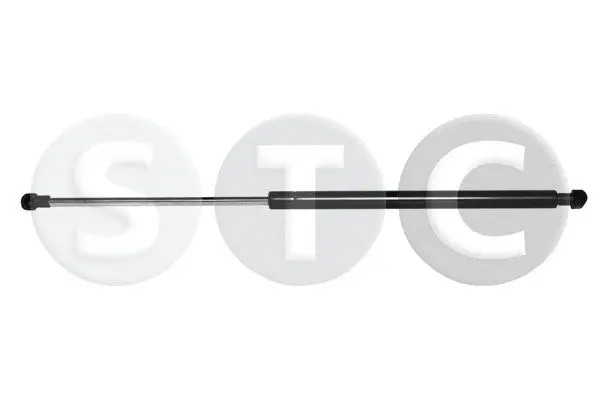 Gas Spring, boot/cargo area (T446877)