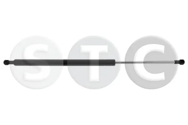 Gas Spring, boot/cargo area (T446263)