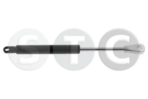 Gas Spring, bonnet (T446569)