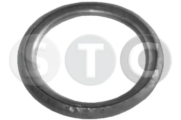 Seal Ring, oil drain plug (T402001)