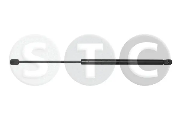 Gas Spring, boot/cargo area (T446581)