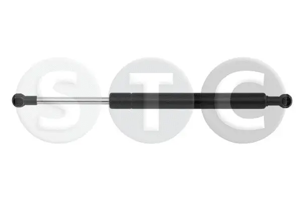 Gas Spring, boot/cargo area (T446807)