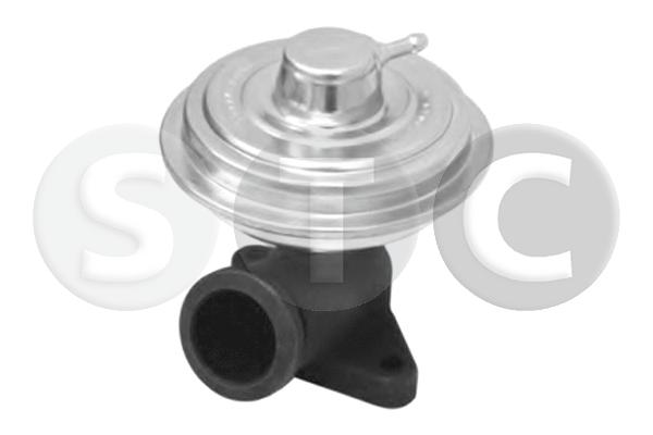 EGR Valve (T493211)
