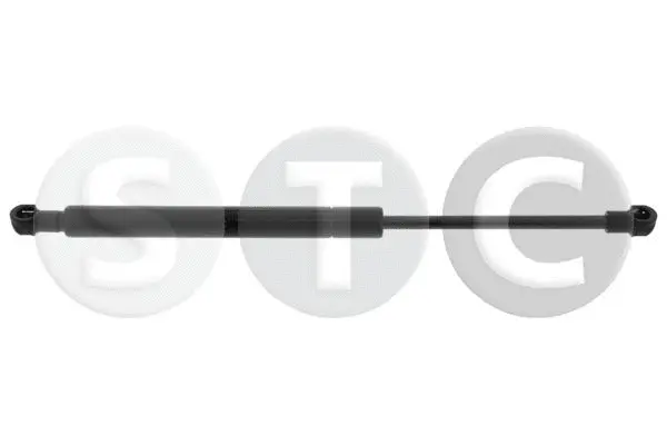 Gas Spring, bonnet (T446638)