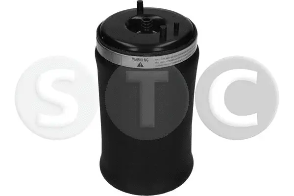 Air Spring, suspension