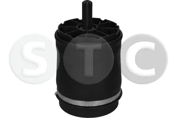 Air Spring, suspension