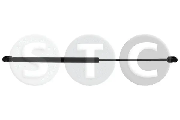 Gas Spring, boot/cargo area (T446530)