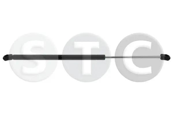 Gas Spring, boot/cargo area (T446623)