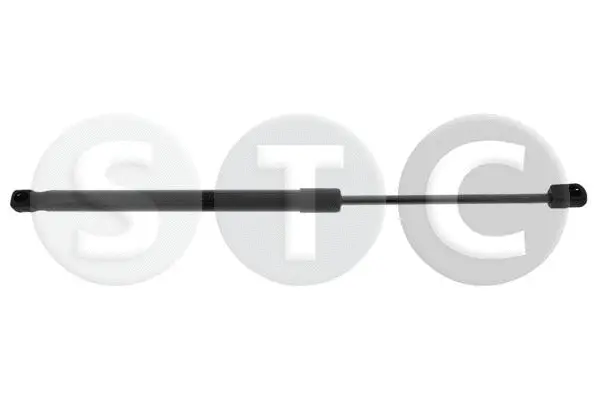 Gas Spring, boot/cargo area (T446544)