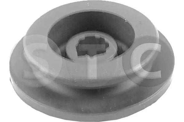 Radiator Mounting (T439326)
