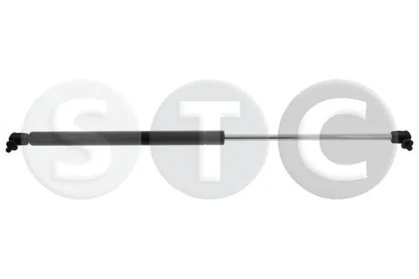 Gas Spring, boot/cargo area (T446545)