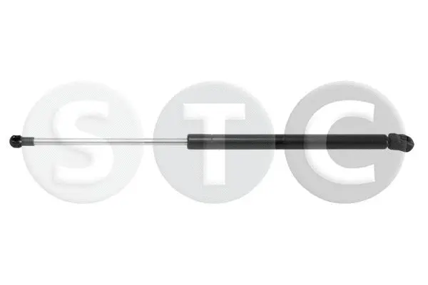 Gas Spring, boot/cargo area (T446208)