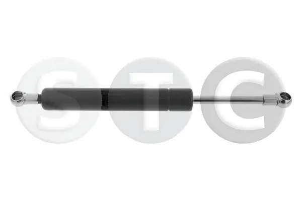 Gas Spring, boot/cargo area (T446687)