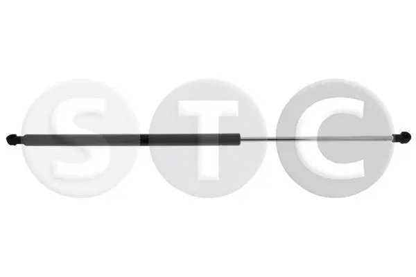 Gas Spring, boot/cargo area (T446143)