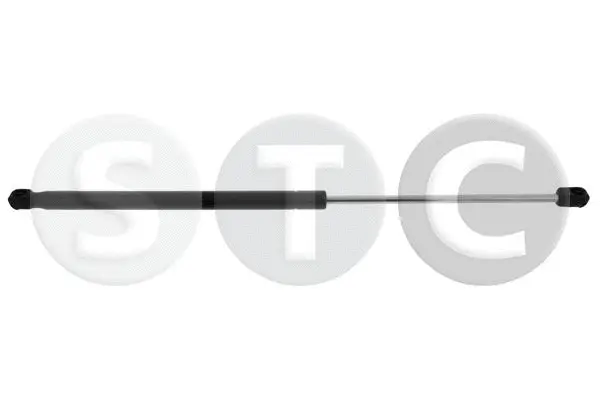 Gas Spring, boot/cargo area (T446281)