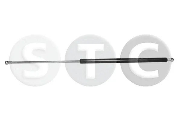 Gas Spring, boot/cargo area (T446364)