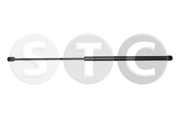 Gas Spring, boot/cargo area (T446613)