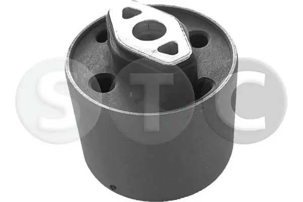 Bushing, axle beam (T458238)