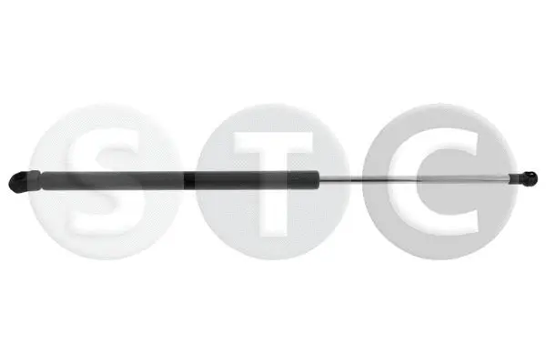 Gas Spring, bonnet (T446587)