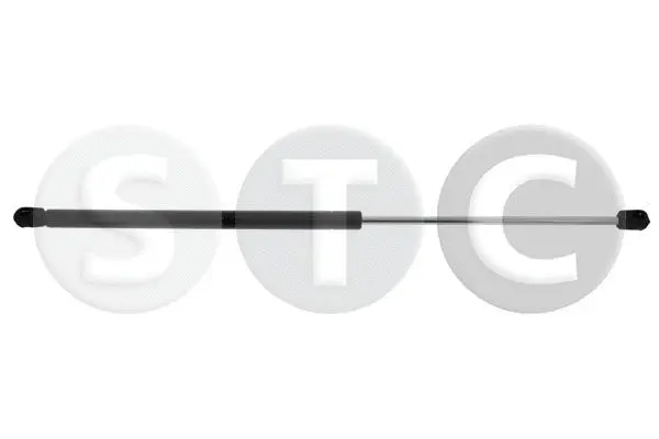 Gas Spring, boot/cargo area (T446856)