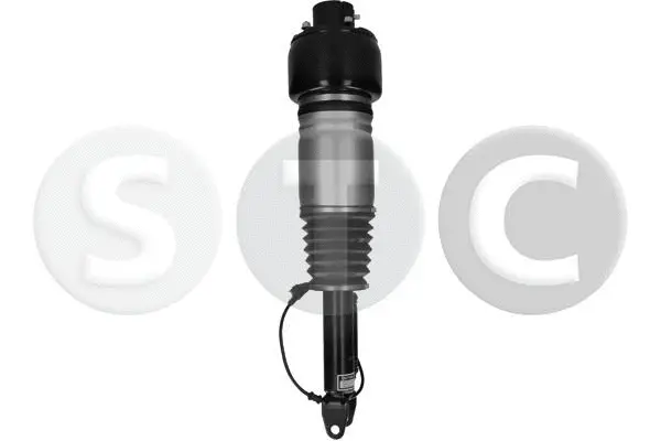 Air Suspension Strut