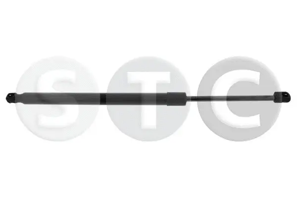 Gas Spring, boot/cargo area (T446668)