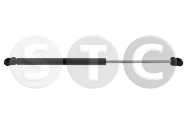Gas Spring, boot/cargo area (T446837)