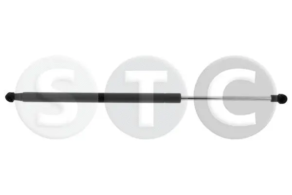 Gas Spring, boot/cargo area (T446672)