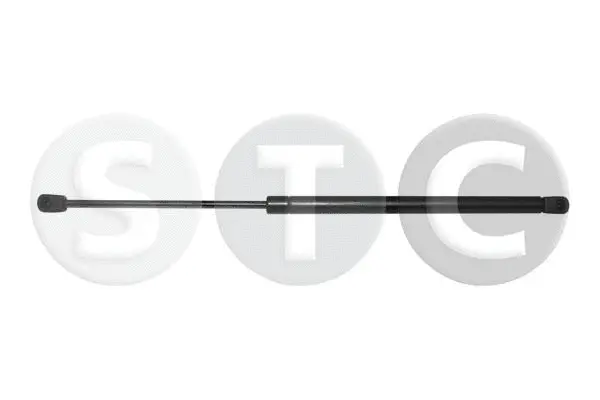 Gas Spring, boot/cargo area (T446831)