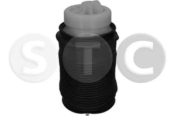 Air Spring, suspension (T442962)