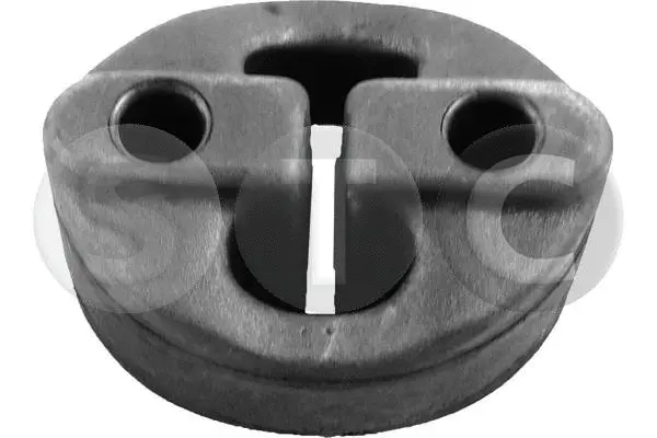 Mount, exhaust system (T441059)