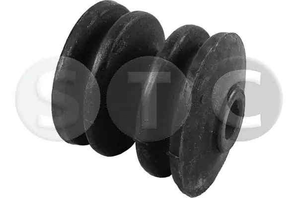 Bushing, axle beam (T458073)