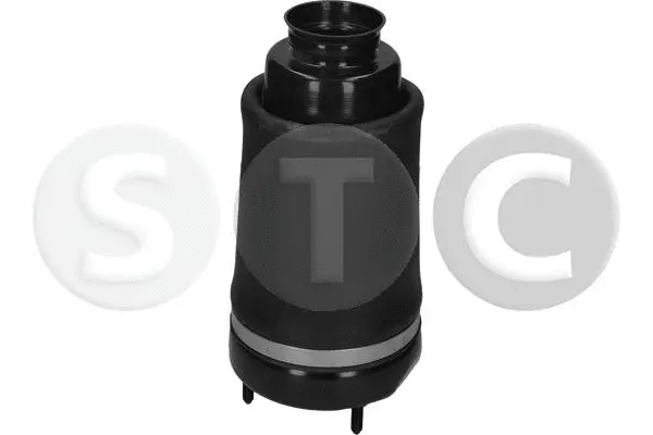 Air Spring, suspension