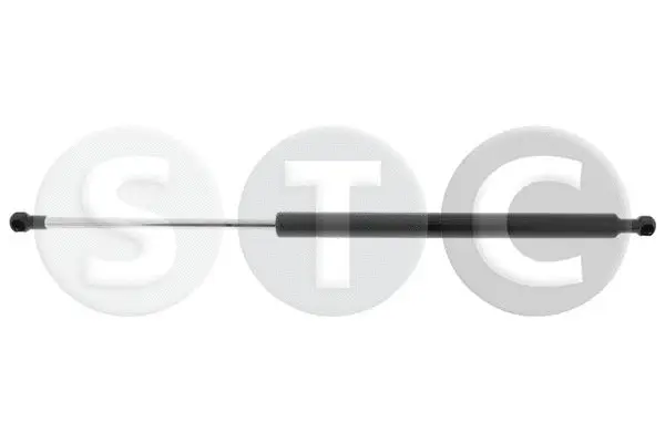 Gas Spring, boot/cargo area (T446137)