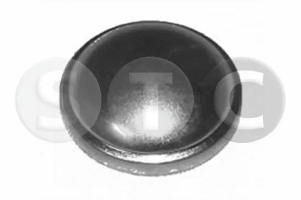 Protection Lid, wheel hub (T441431)
