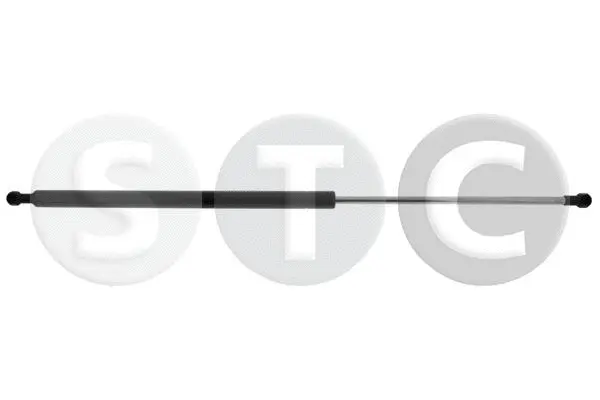 Gas Spring, boot/cargo area (T446365)