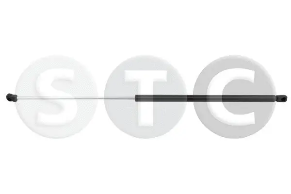 Gas Spring, bonnet (T446254)