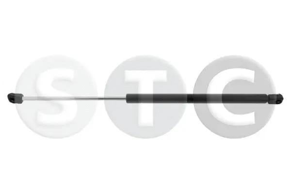 Gas Spring, boot/cargo area (T446625)