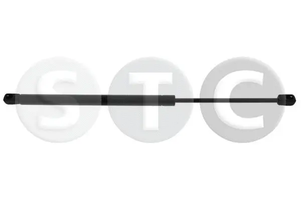 Gas Spring, boot/cargo area (T446677)