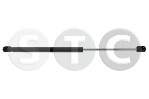Gas Spring, boot/cargo area (T446230)