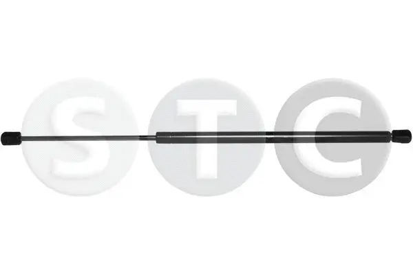 Gas Spring, boot/cargo area (T446547)