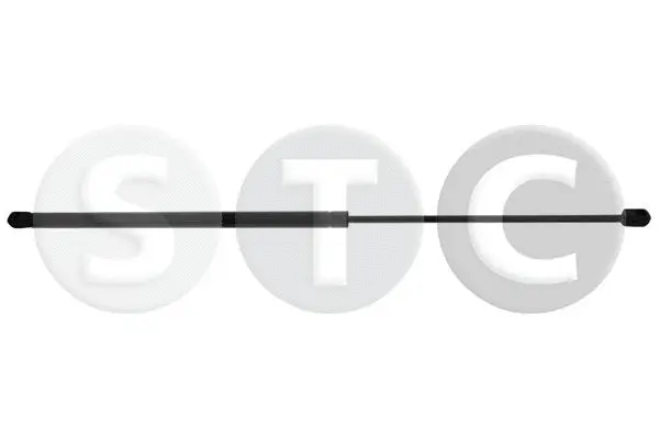 Gas Spring, boot/cargo area (T446194)