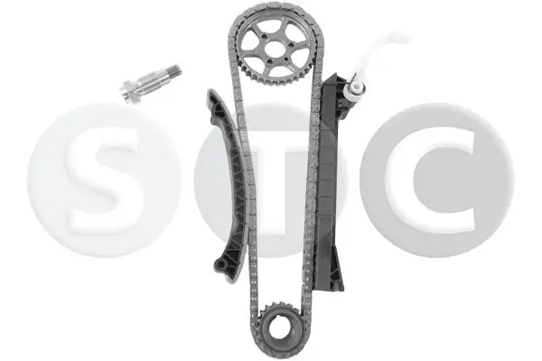Timing Chain Kit (T451373)