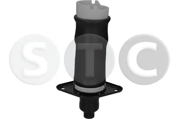 Air Spring, suspension