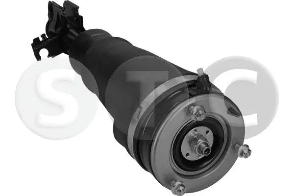 Air Suspension Strut (T442924)