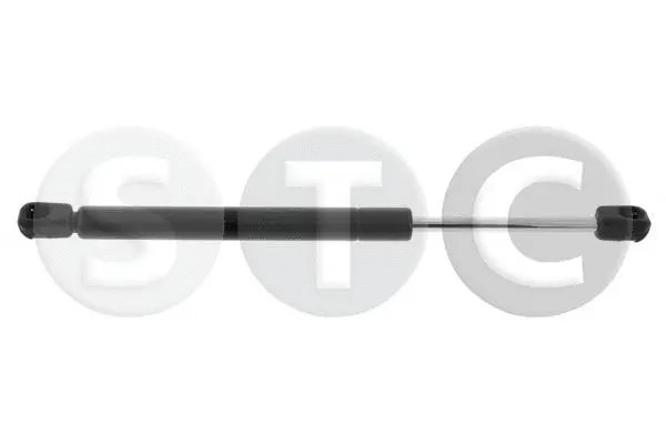 Gas Spring, boot/cargo area (T446851)