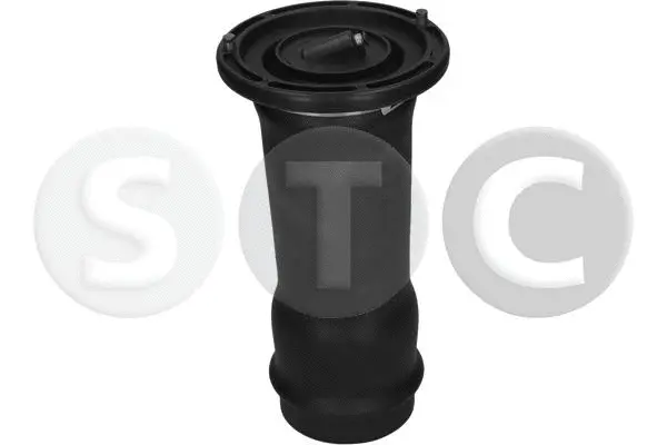 Air Spring, suspension
