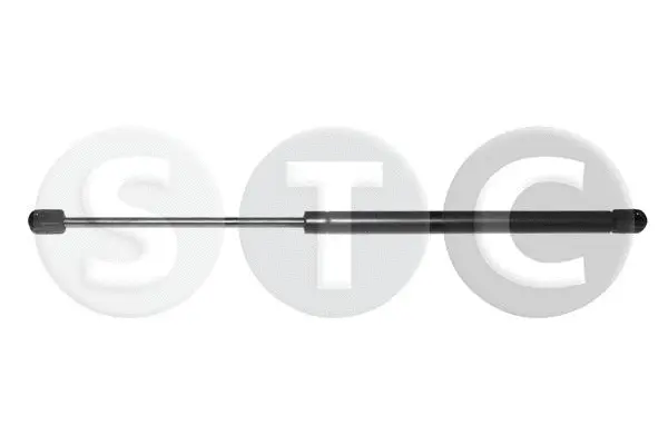 Gas Spring, boot/cargo area (T446723)